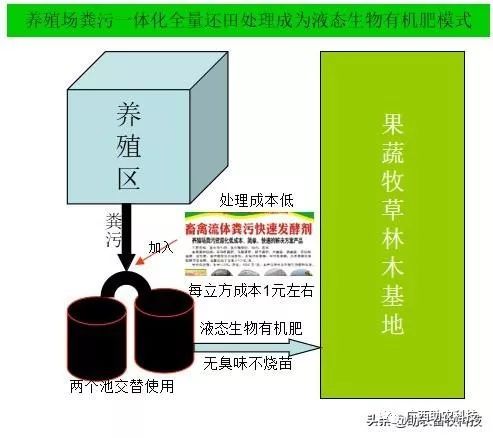 污水养殖牛蛙处理技术规程_牛蛙的养殖污水处理技术_牛蛙养殖污水排放标准