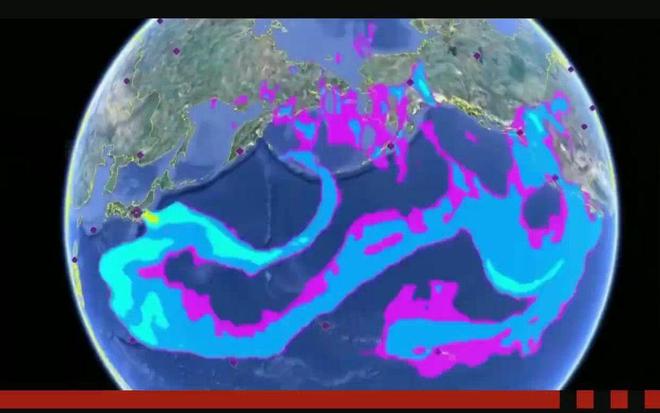 核污水中国_核污水邻近中国_核污水入海